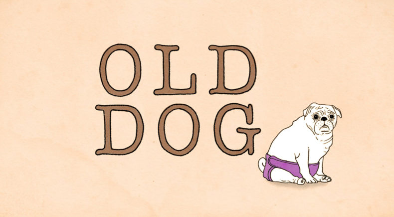 Old Dog - still #5