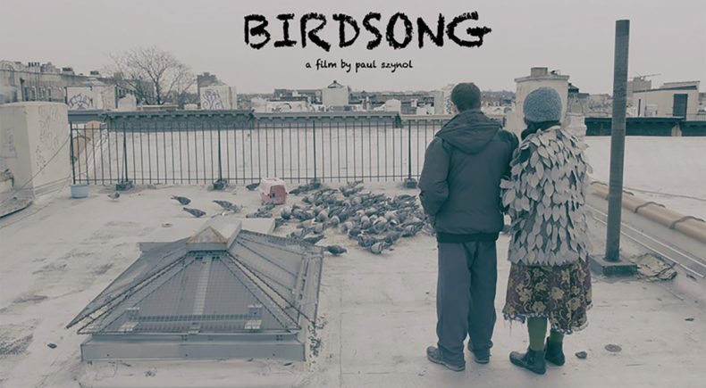 Birdsong - still #1