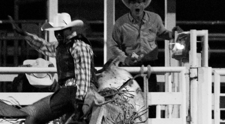 Bull Rider - still #3