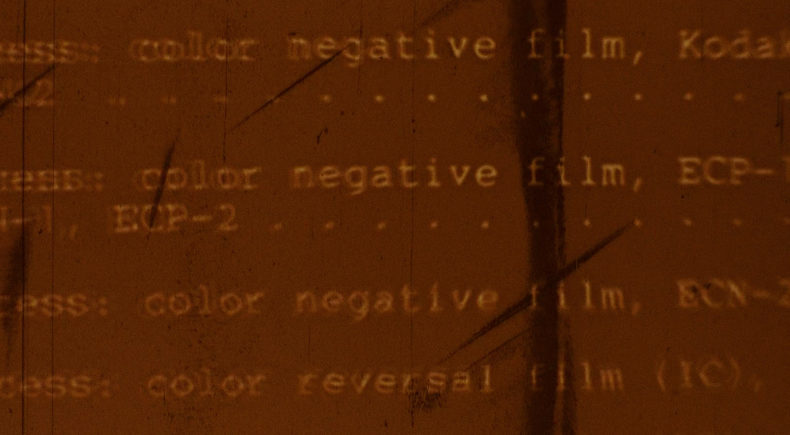 Color Negative - still #5