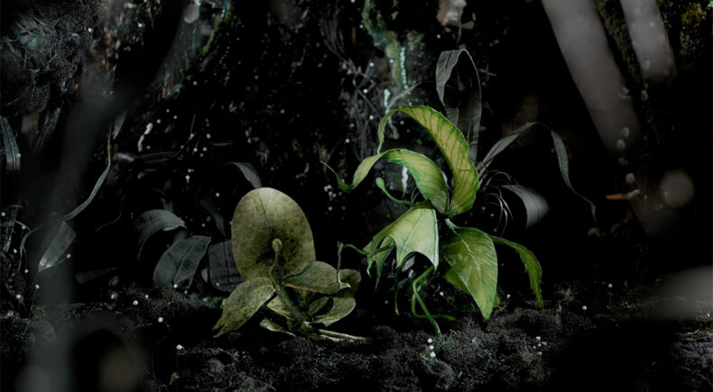 Humantis - still #3