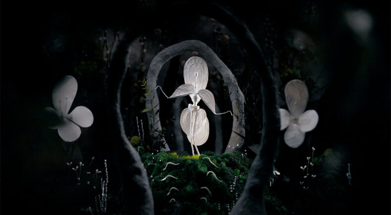 Humantis - still #5