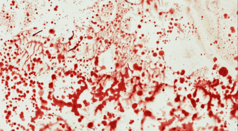 5-cent American Flag - still #2