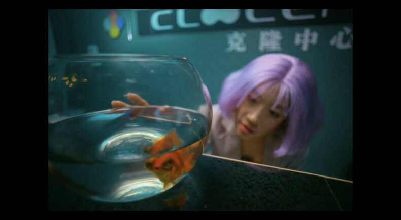 Daisy is Gone - still #4