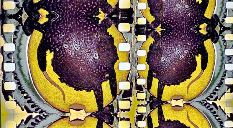 I am a Microscope - still #1