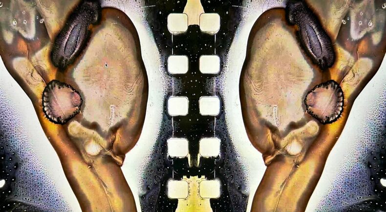I am a Microscope - still #3