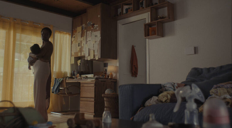 Soft Animal - still #2