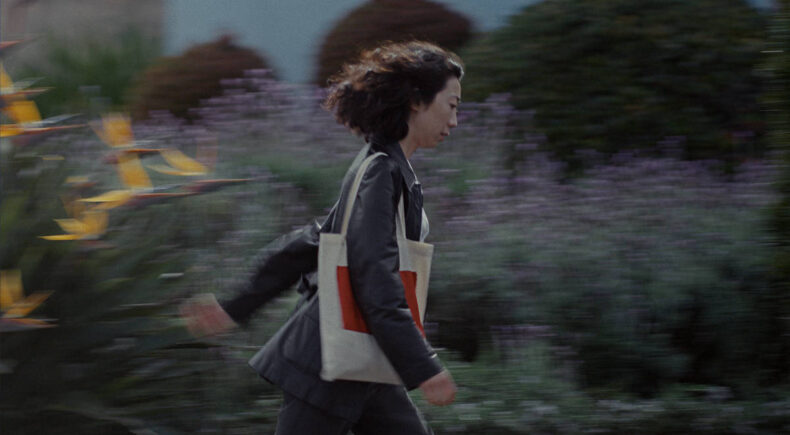 Soft Animal - still #4