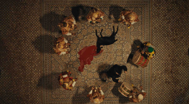 Aicha - still #5