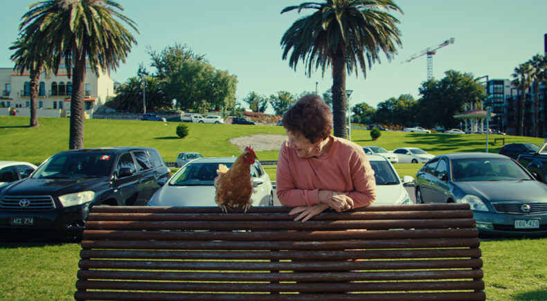 Mother Of Chooks - still #2