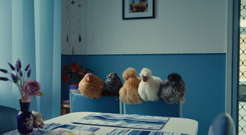 Mother Of Chooks - still #5