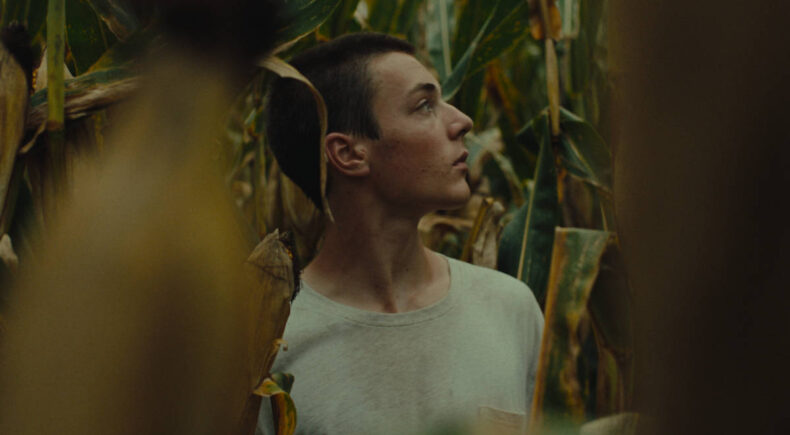 Apollo - still #2