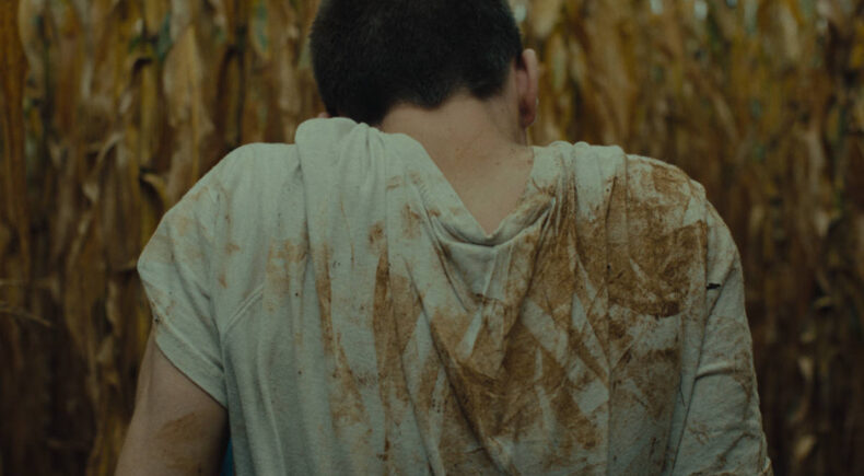 Apollo - still #3