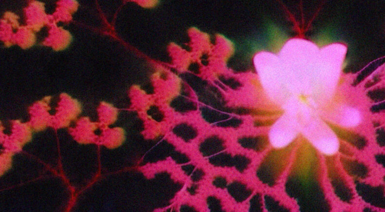 Ethereal Rhythms, Everything Rhymes - still #4
