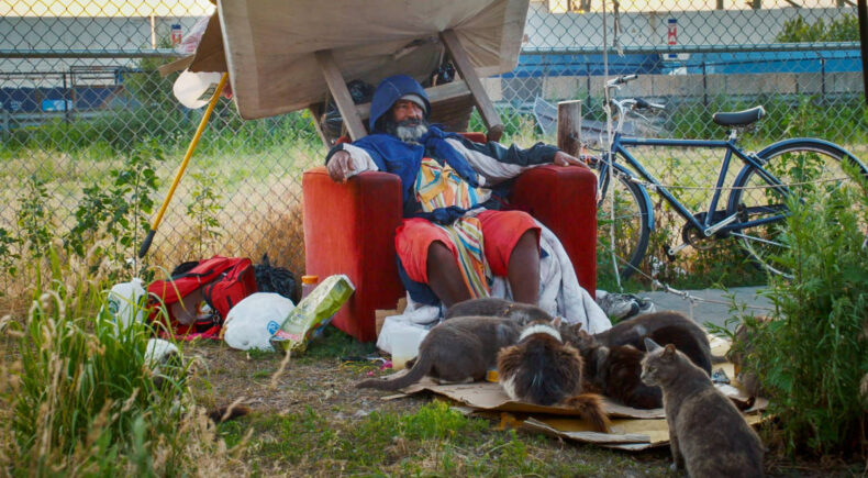 The Cat Man Eshete - still #1