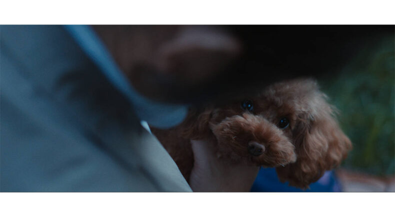 Pedigree - still #3