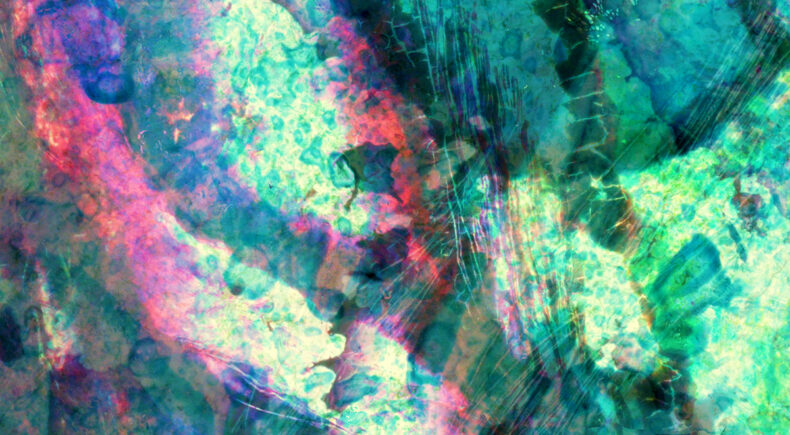 Polychora - still #2