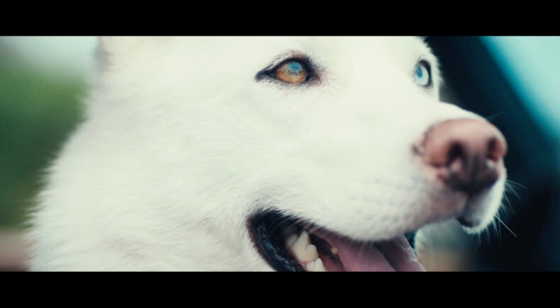 Good Girl! - still #1