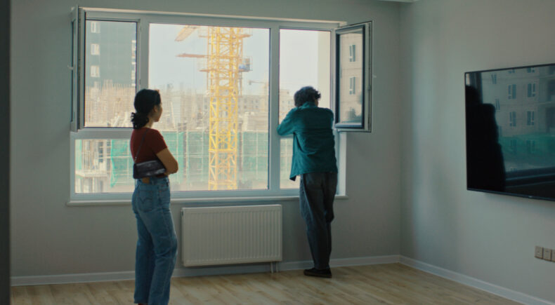 A South Facing Window - still #1