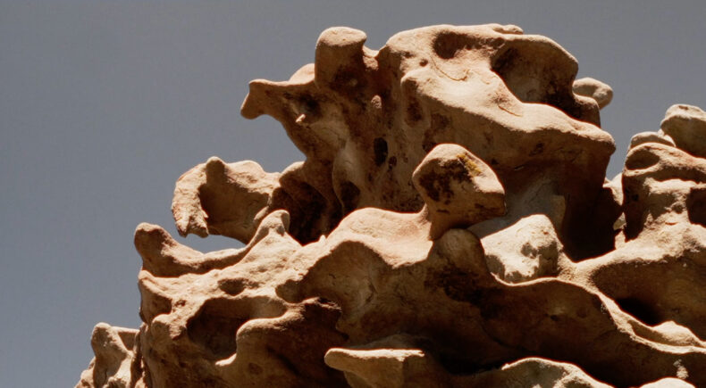 Dance of Earth - still #4