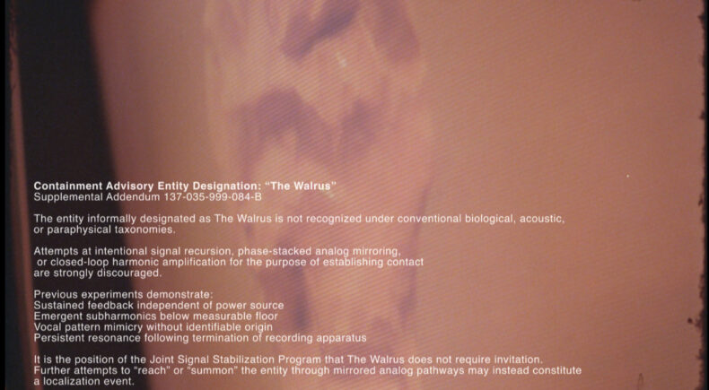 Walrus Inc. - still #3